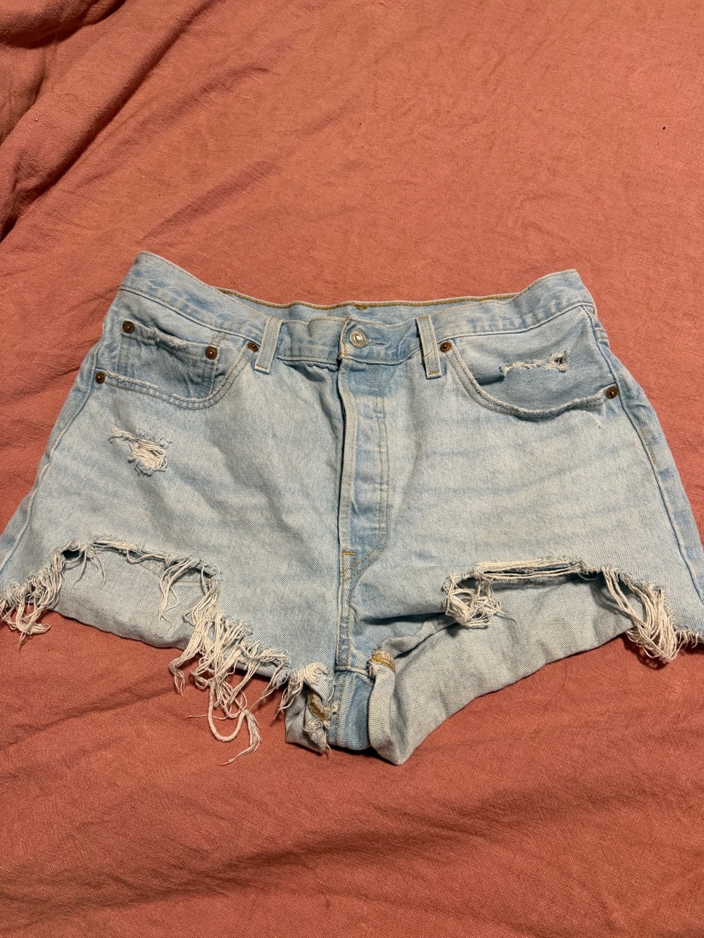 Levi's Light Blue 501 Distressed Denim Cutoff Shorts
